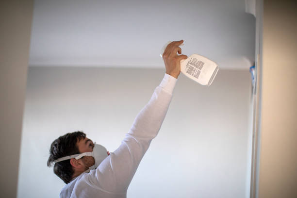 Best Mold Testing and Removal  in Trainer, PA