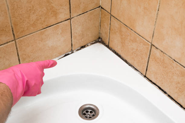 Best Mold Remediation Experts  in Trainer, PA